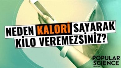 Kalori Sayarak Kilo Verme Yöntemleri